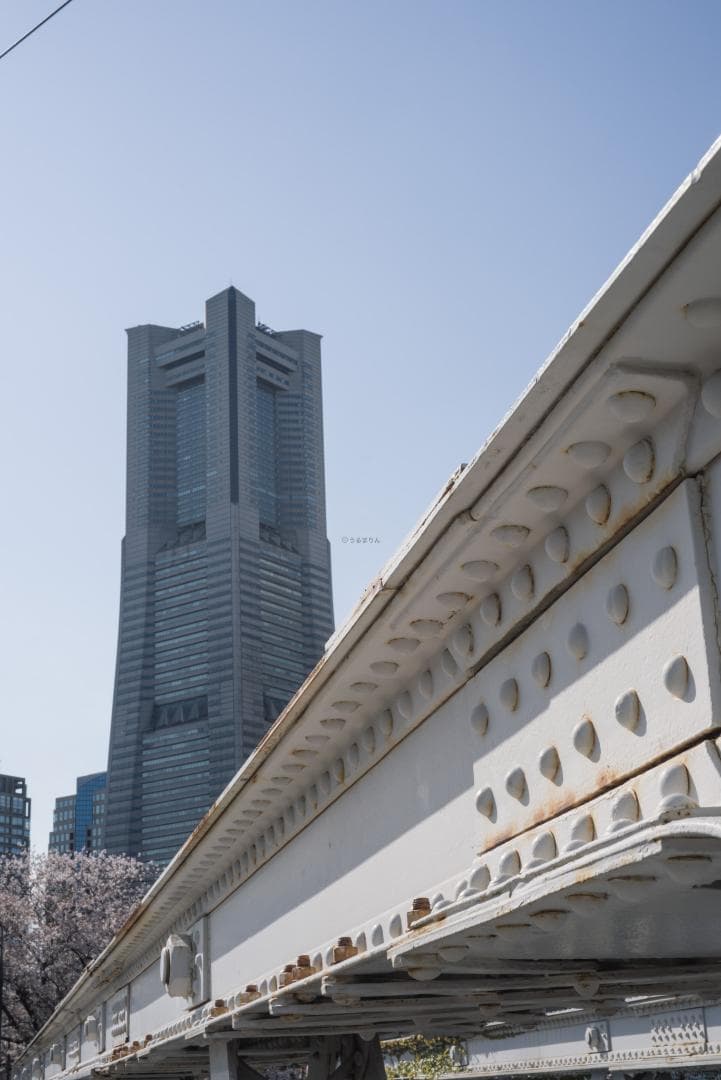 tadashi様　小西六 HEXAR 50mm F3.5 オールドレンズ