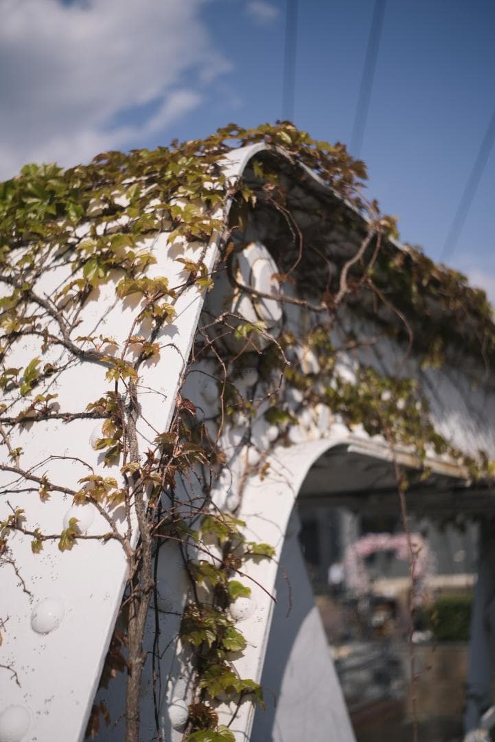 tadashi様　小西六 HEXAR 50mm F3.5 オールドレンズ