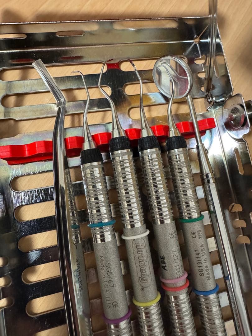 ほぼ新品のヒューフレディ　スケーラー、額模型セット