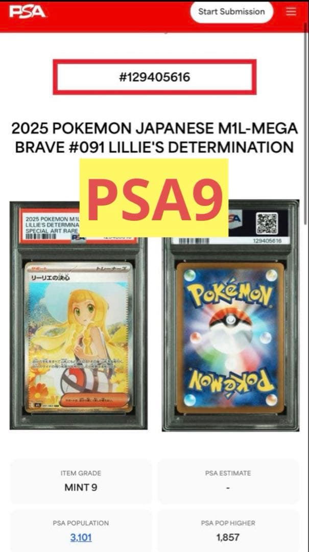 【PSA9】リーリエの決心　SAR