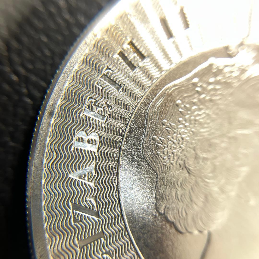 【純銀】オーストラリア　カンガルー 銀貨　1oz ケース付き　①