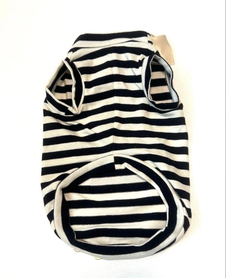 for pets only フォーペッツオンリー ボーダー柄 エンジェルズ