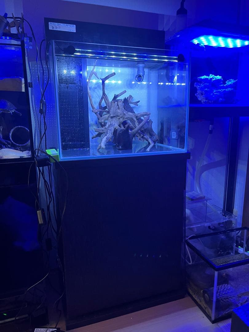 最終処分価格‼️ 使用期間3カ月コトブキレグラス600x450xh450フルセット