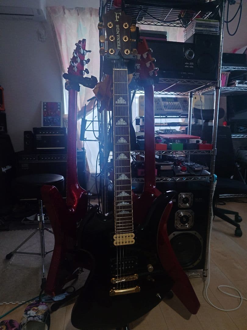 hideモデルモッキンバード　FERNANDS