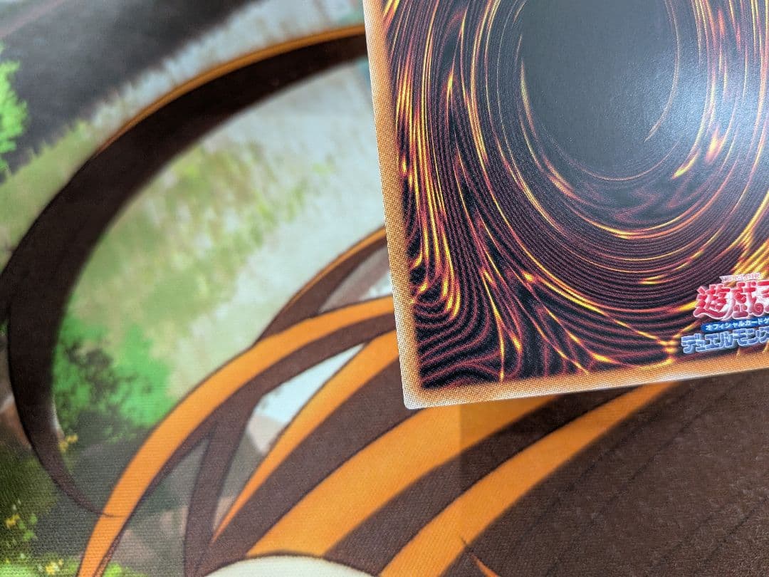 遊戯王霊王の波動×2ドミナスインパルス　25th　QCレア　クオシク　クウォシク