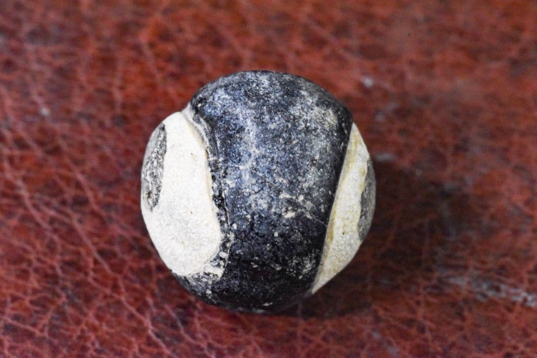 5~9世紀 シナイ半島産 金化二眼アイビーズ 完品！