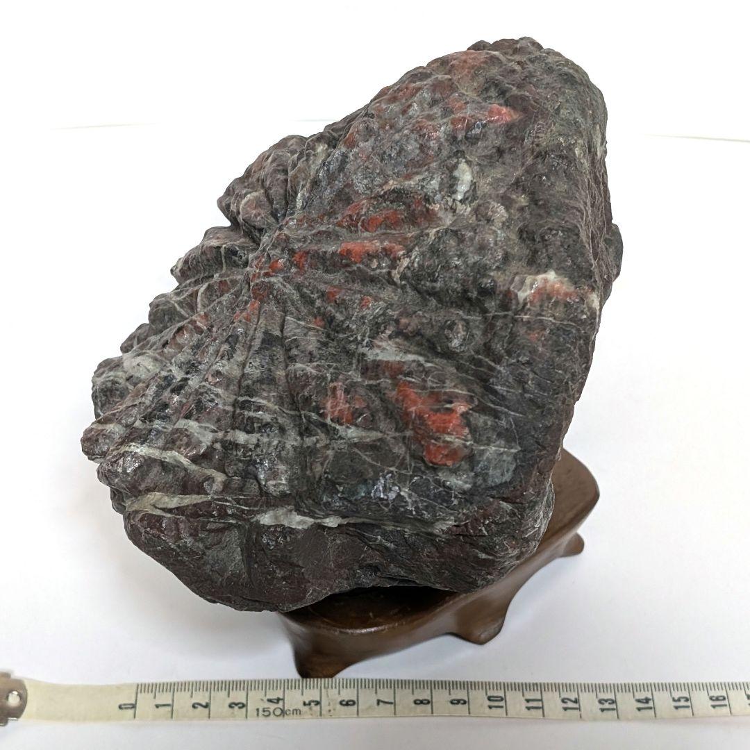 鑑賞石　オブジェ　置物