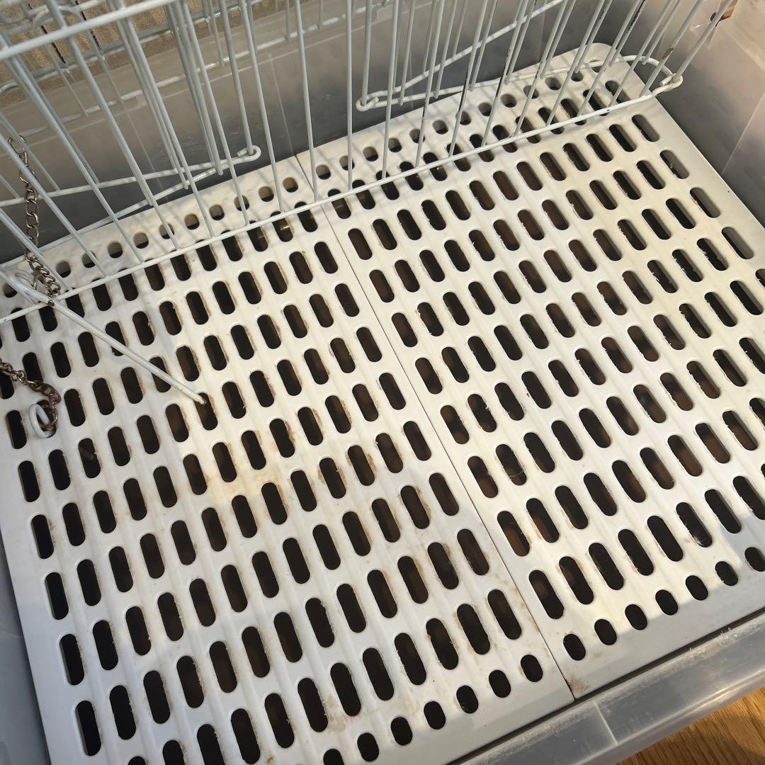 うさぎケージ　ミニマルランド　うさぎのかんたんおそうじケージ　ブラウンH60