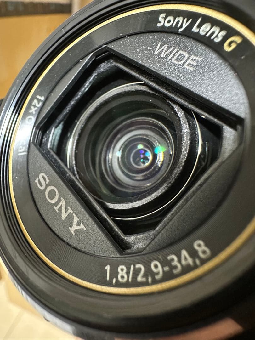 ビデオカメラ SONY HDR-PJ630V