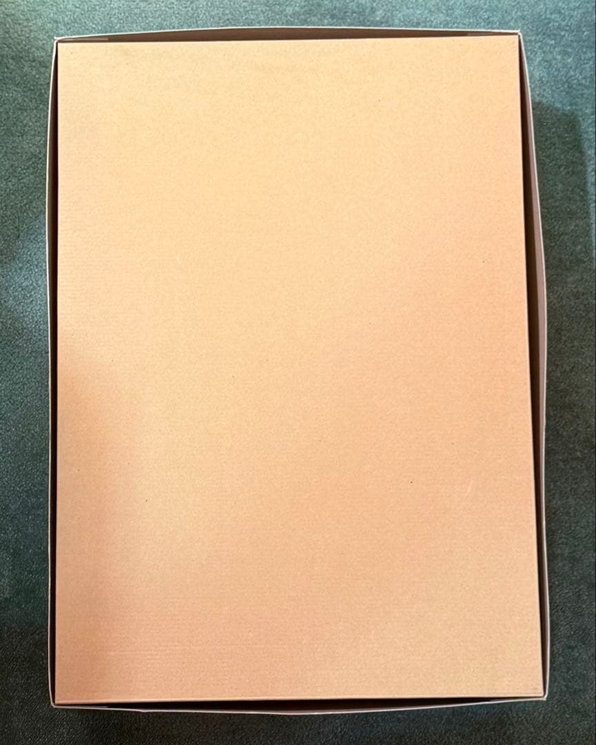 【未組み立て】タミヤ★WILD DAGGER・ワイルドダカー 1/10スケール