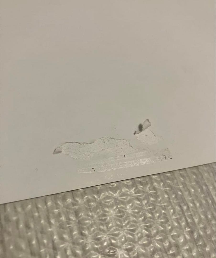 シュプリームケイトモス　ポスター額付き