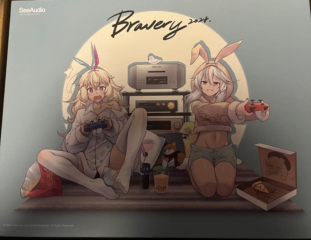 SeeAudio Bravery24 インイヤーイヤホン IEM