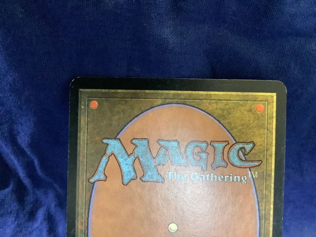 白*ま様 MTG バルデュビアの大軍 foil