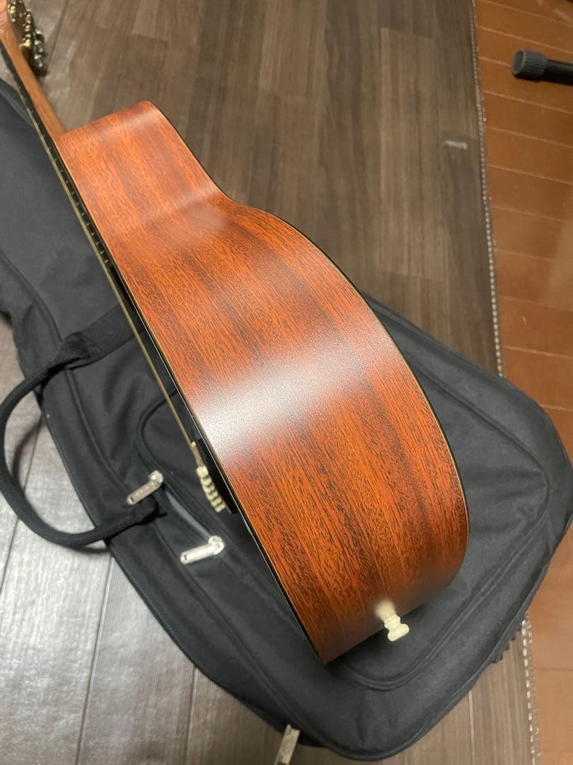 Martin & Co. アコースティックギター