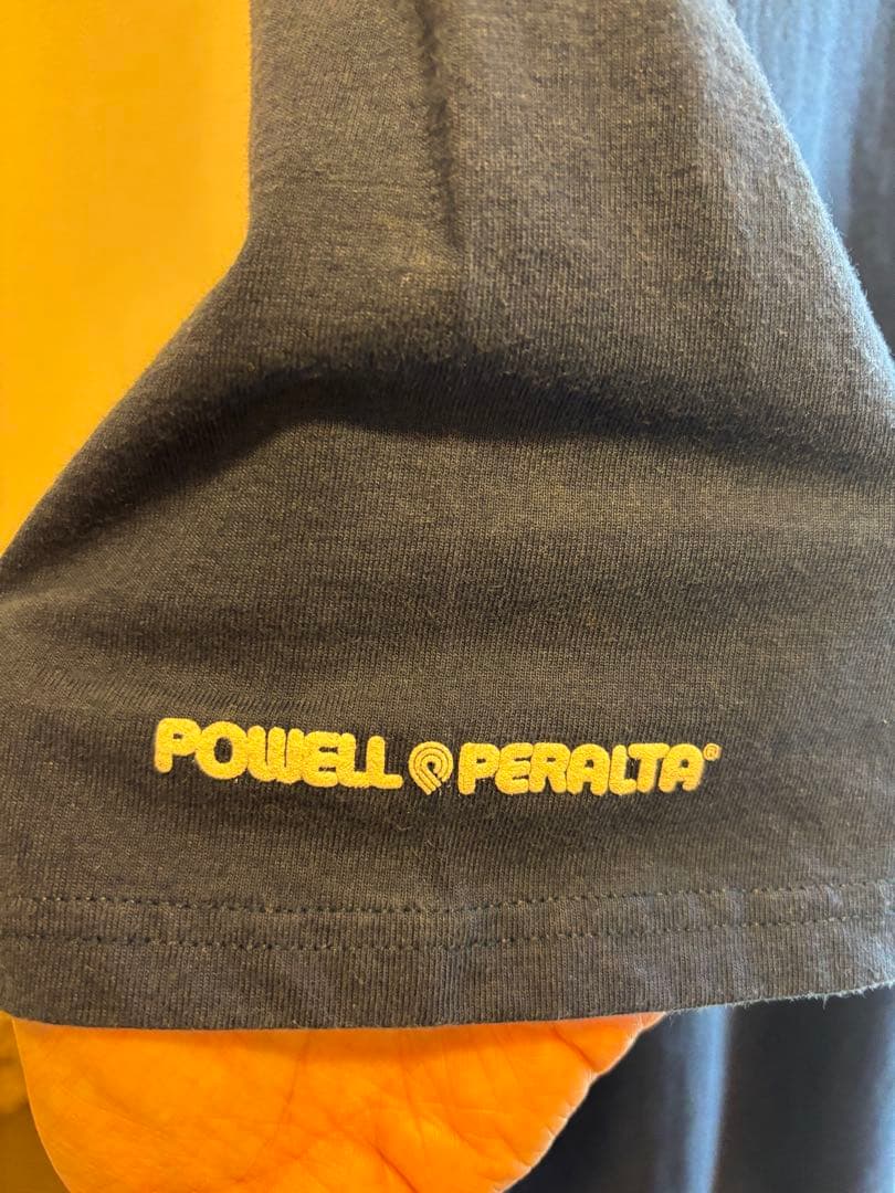 古着美品00sPOWELL PERALTA パウエル リザードボーン Tシャツ