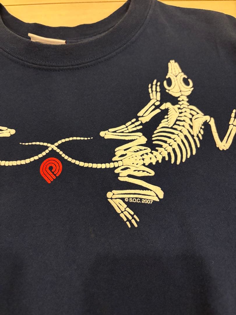 古着美品00sPOWELL PERALTA パウエル リザードボーン Tシャツ