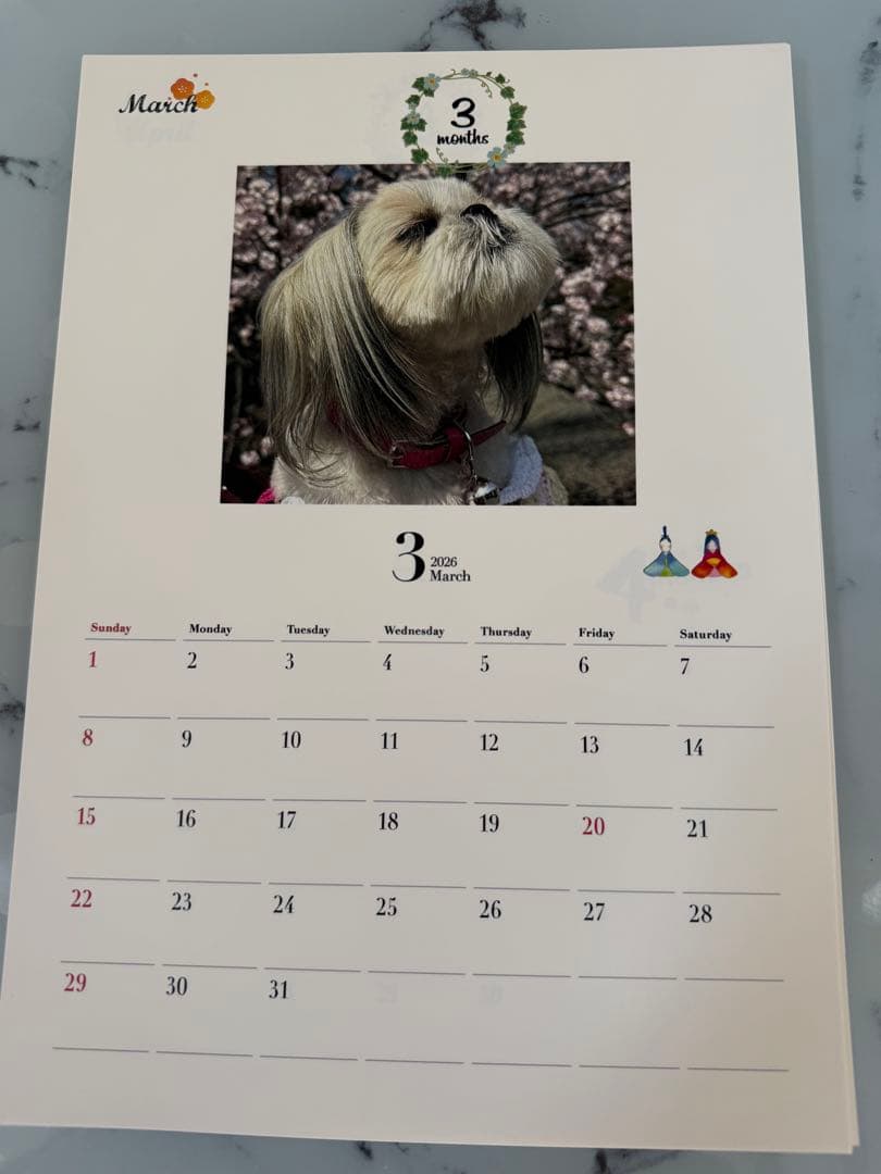 愛犬ちくわ壁掛けカレンダー【オリジナル】