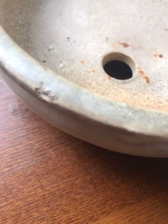 盆栽鉢　超時代希少白泥美しい白い釉薬詳細不明支那鉢和鉢