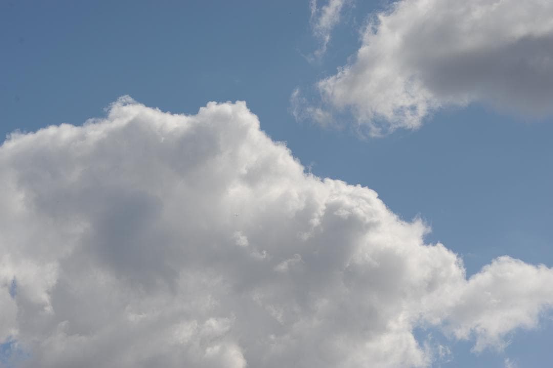 レンズ(単焦点) Nikon ai-s micro nikkor 105mm f2.8