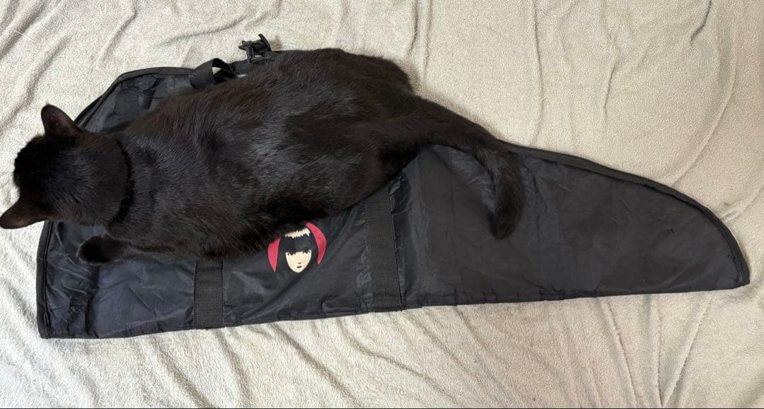 【希少】Epiphone SG G-310 Emily the Strange