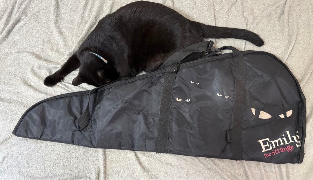 【希少】Epiphone SG G-310 Emily the Strange