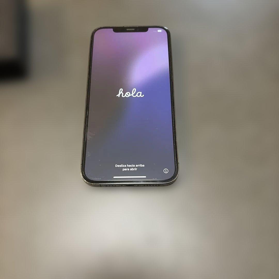 Apple iPhone12ProMax 本体