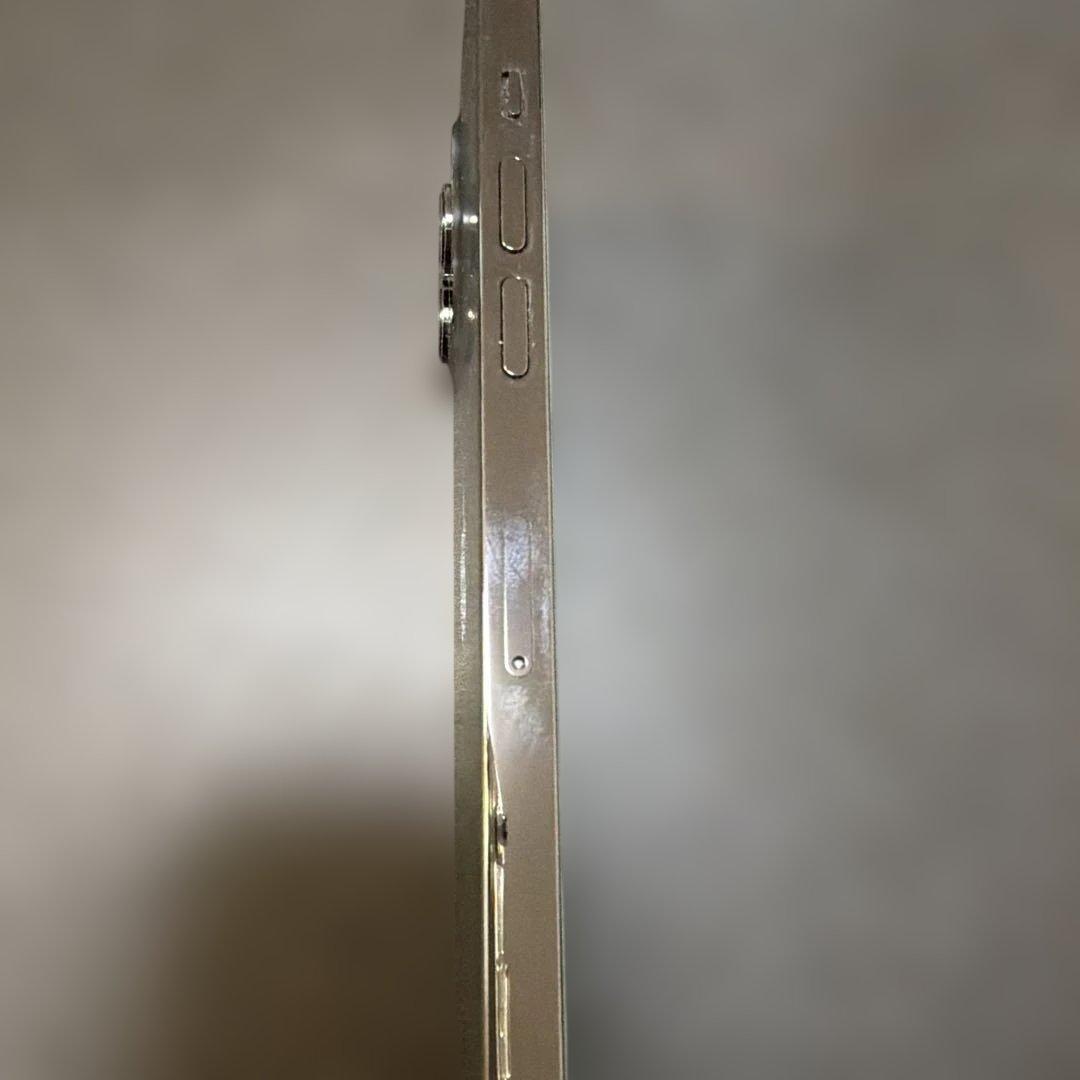 Apple iPhone12ProMax 本体