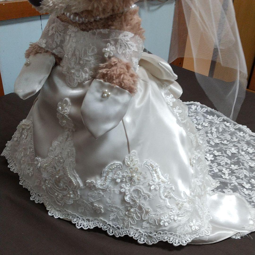 ダッフィー、シェリーメイコスチューム