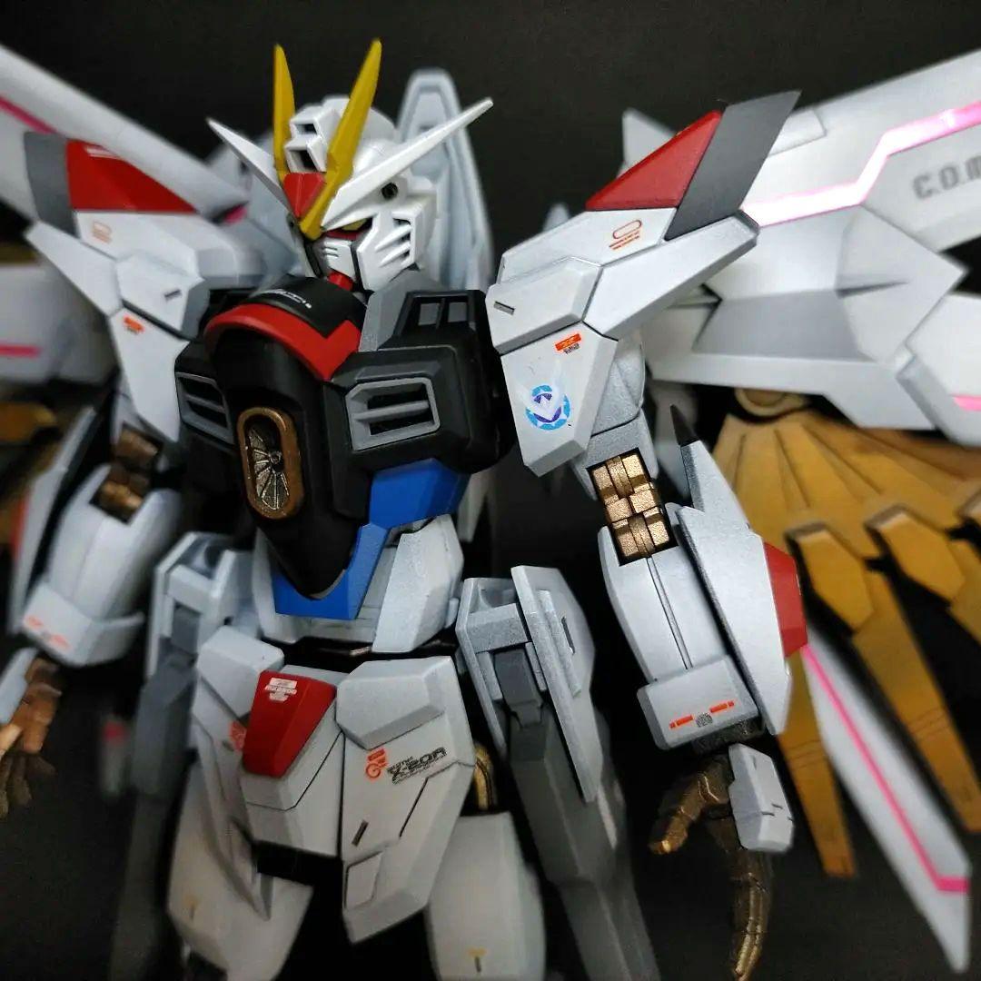 HGCE マイティーストライクフリーダムガンダム 全塗装完成品(胴体延長改修)