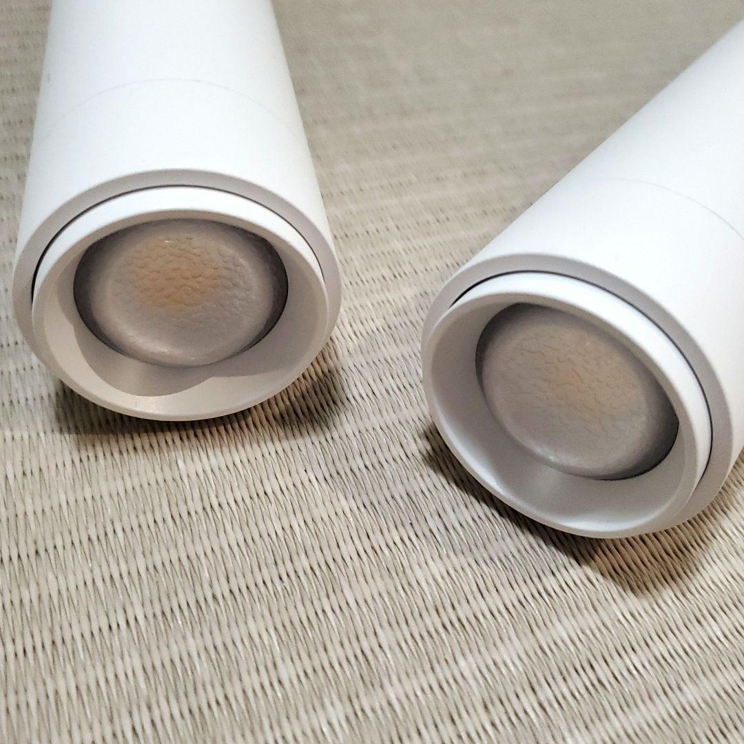 エジソンスマート スポットライト ダクトレール用