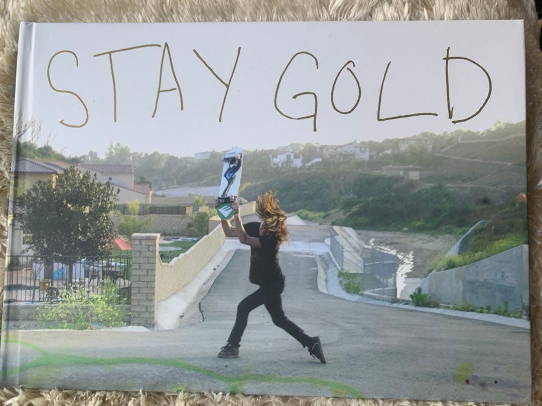 希少 stay gold emerica dvd 限定盤