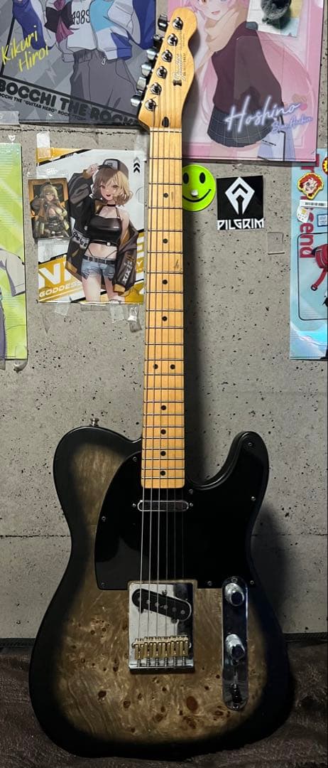 陸*海様 fender Mexico prayer テレキャスター リフィニッシ