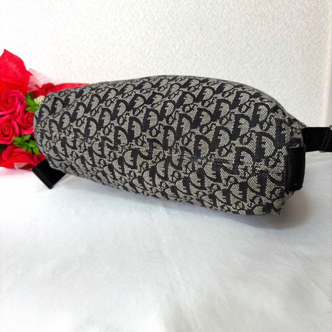 Christian Dior クリスチャンディオール トロッター ショルダー