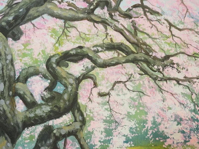 【値下げ】 風景画　油絵　中島千波　桜花　F8　額付き　手描き　肉筆