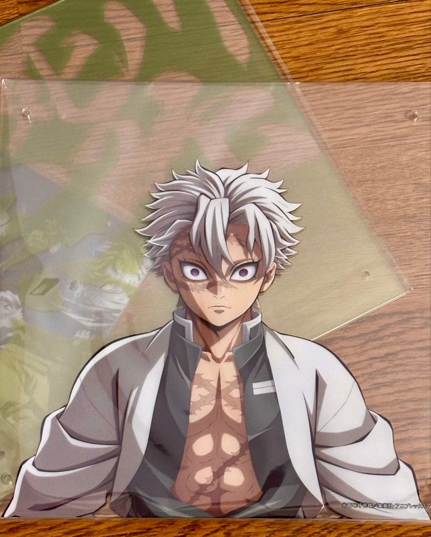 鬼滅の刃　不死川実弥　コラージュレイヤードパネル