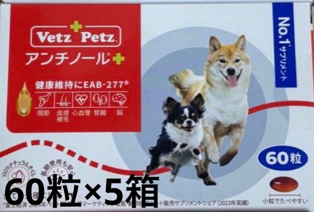 アンチノールプラス　300粒