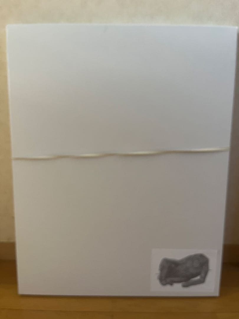 AICON シルクスクリーン 額装済み