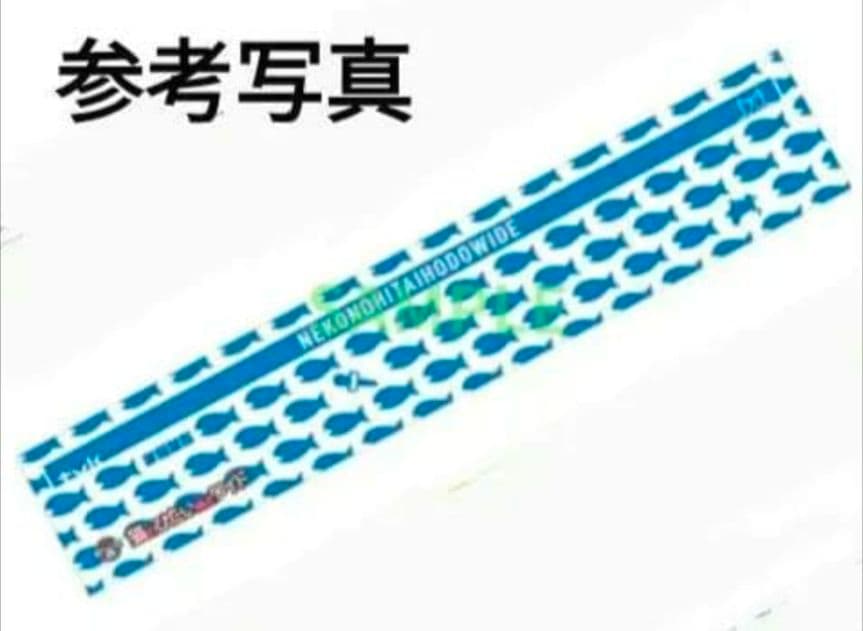 猫のひたいほどワイド 猫と魚の柄の タオル ２種類 セット