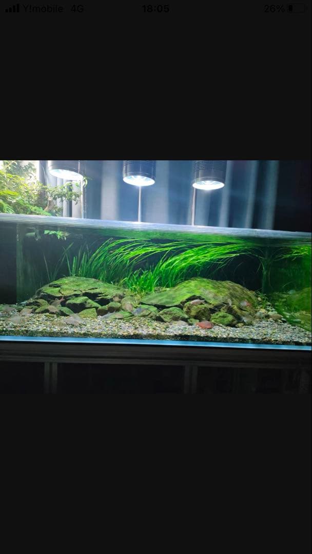 20Lろ材水質浄化抜群濾過フィルター自社製高品質セラミックリング送料込み即時発送