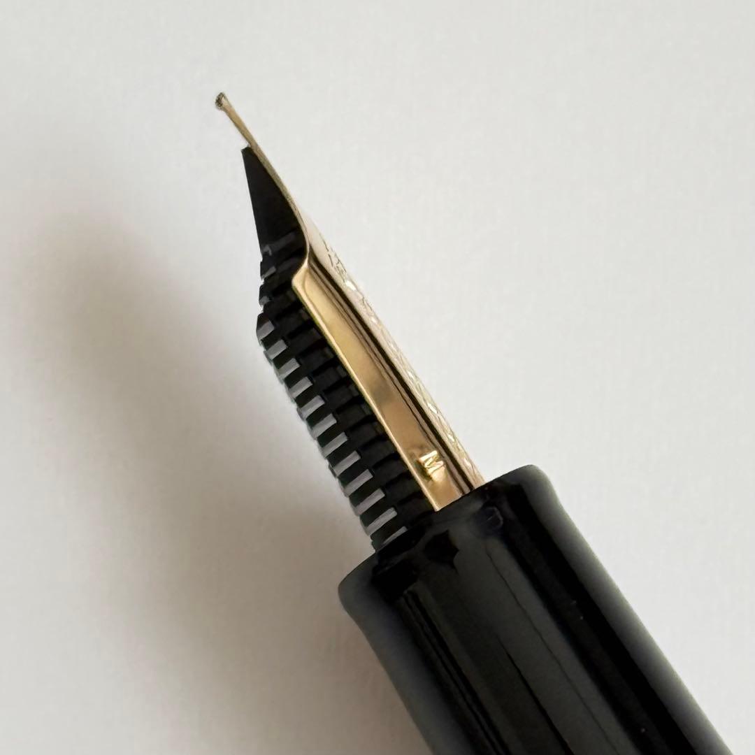 SAILOR セーラー 伝統漆芸 麗 青森 風雅文塗 常盤色 万年筆 中字