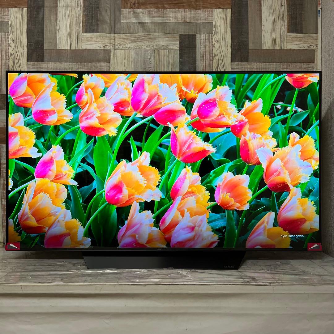 のんさん専用展示アウトレット品全国送料込LG55型有機ELテレビテレビ動画視聴可