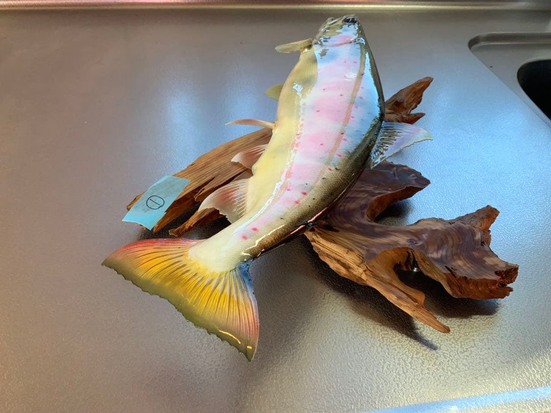 山女（天魚・アマゴ）の剥製380~90mm 尺オーバーsize…No1
