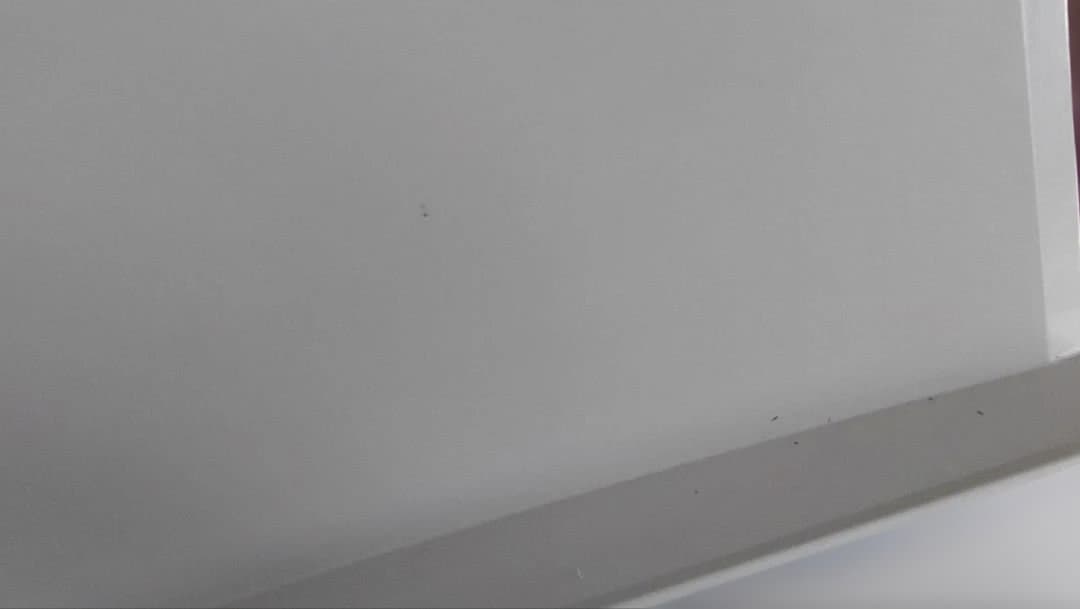 CASIO Privia PX-150WE　出品11/27まで