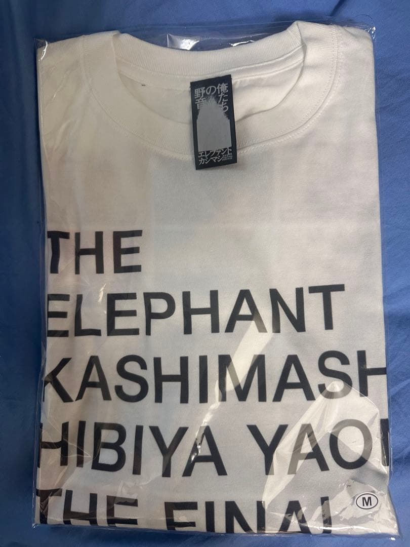 エレカシ「俺たちの野音 2025 」 ロンT 【 Mサイズ】未使用新品