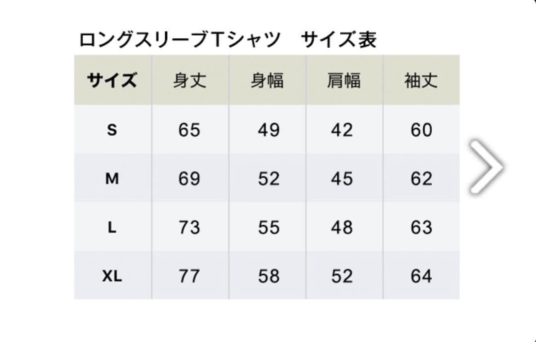 エレカシ「俺たちの野音 2025 」 ロンT 【 Mサイズ】未使用新品