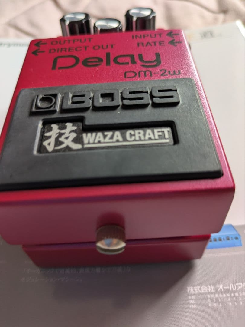 ギター BOSS DM-2W