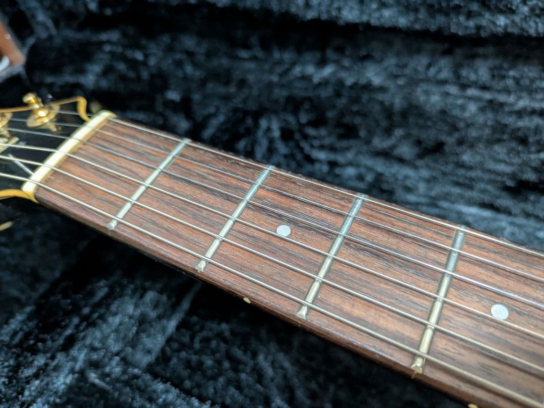 FERNANDES APG 100 24F仕様