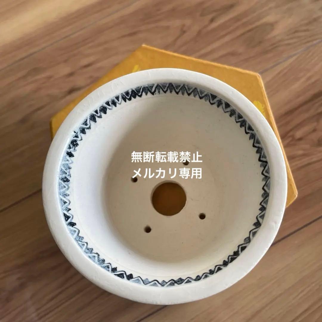 ミニ盆栽鉢　絵鉢　桑津香石　丸鉢　蝶柄　山野草