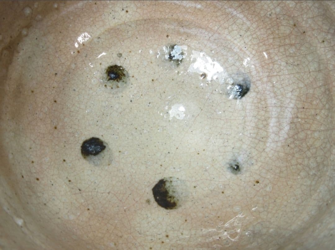 【真作保証】 九代 坂高麗左衛門 自作 萩焼宗家 コレクター放出品 山口県 萩市