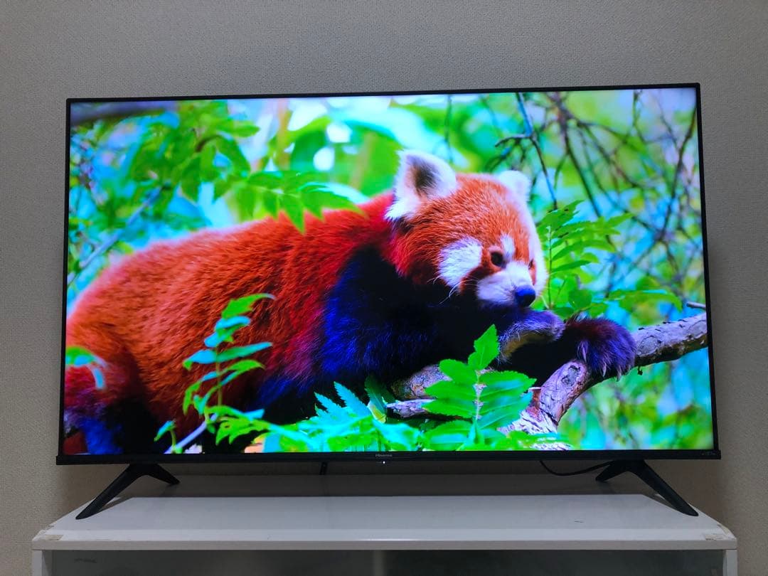 ハイセンス 50V型 液晶テレビ 4Kチューナー内蔵 50E6G 2023年製